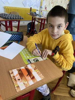 AJ, VV, PČ - Projekt Lesní zvěř, 19. 1. 2024