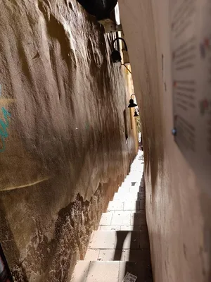 Exkurze Praha, 25. 1. 2024