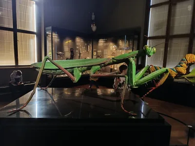 Exkurze Praha, 25. 1. 2024