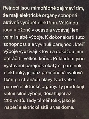 Exkurze Praha, 25. 1. 2024