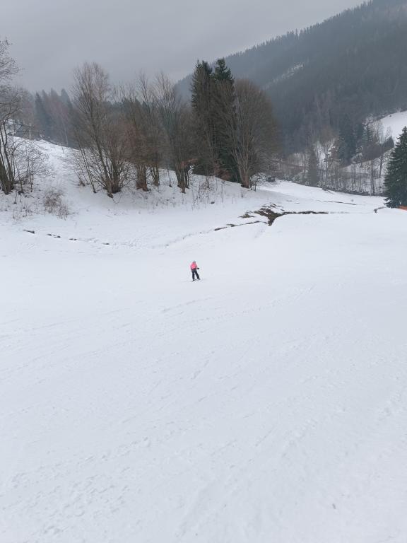 Lyžařský výcvik - den čtvrtý, 31. 1. 2024