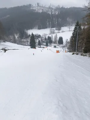 Lyžařský výcvik - den čtvrtý, 31. 1. 2024