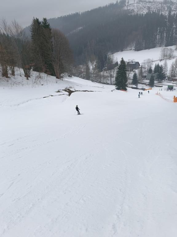 Lyžařský výcvik - den čtvrtý, 31. 1. 2024