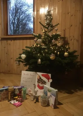 Poděkování za vánoční dárečky a přání do nového roku, 1. 1. 2024