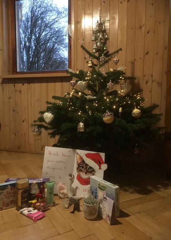 Poděkování za vánoční dárečky a přání do nového roku, 1. 1. 2024
