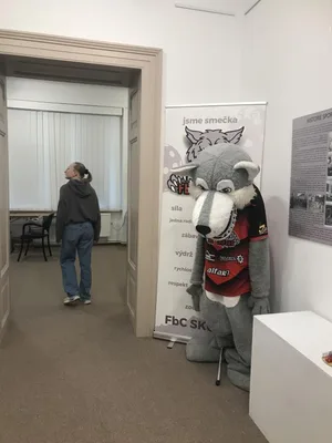 Historie městských sportovišť, výstava v městském muzeu, 29. 2. 2024