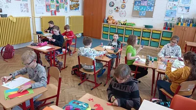 Kočičky ve váze, 26. 2. 2024