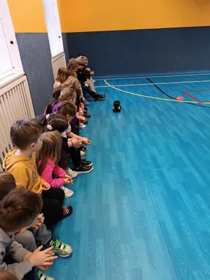 RC modely autíček, 28. 2. 2024