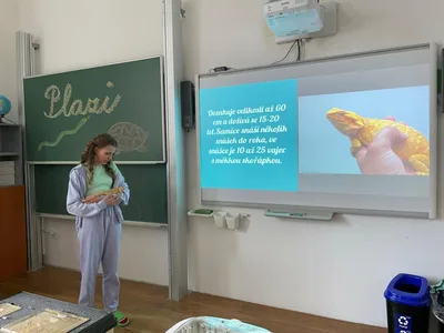 celoškolní projekt: Máme rádi zvířata - Můj domácí mazlíček, 25. 3. 2024