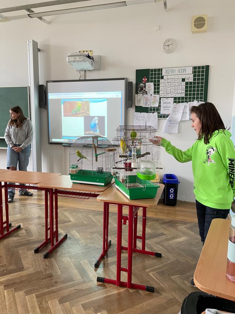 celoškolní projekt: Máme rádi zvířata - Můj domácí mazlíček, 25. 3. 2024