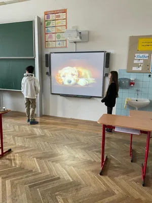 celoškolní projekt: Máme rádi zvířata - Můj domácí mazlíček, 25. 3. 2024
