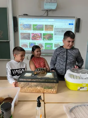 celoškolní projekt: Máme rádi zvířata - Můj domácí mazlíček, 25. 3. 2024