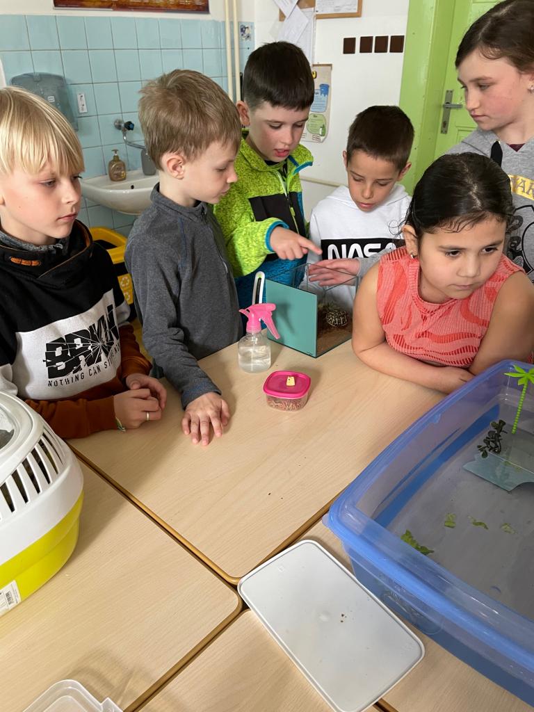 celoškolní projekt: Máme rádi zvířata - Můj domácí mazlíček, 25. 3. 2024