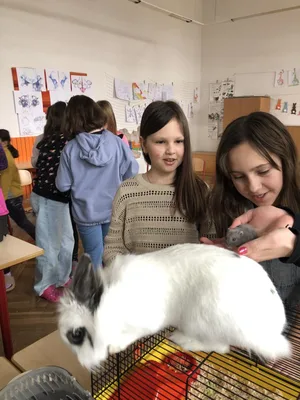 Máme rádi zvířata!, 25. 3. 2024