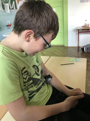 Máme rádi zvířata!, 25. 3. 2024