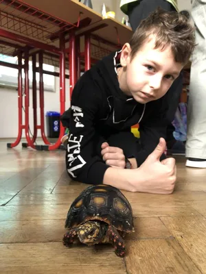 Máme rádi zvířata!, 25. 3. 2024