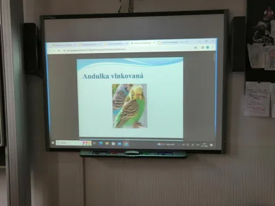 Projekt Máme rádi zvířata, 25. 3. 2024