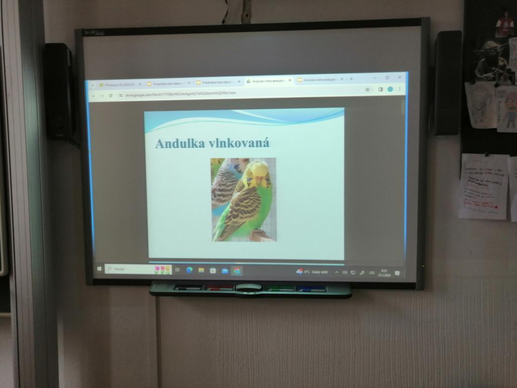 Projekt Máme rádi zvířata, 25. 3. 2024