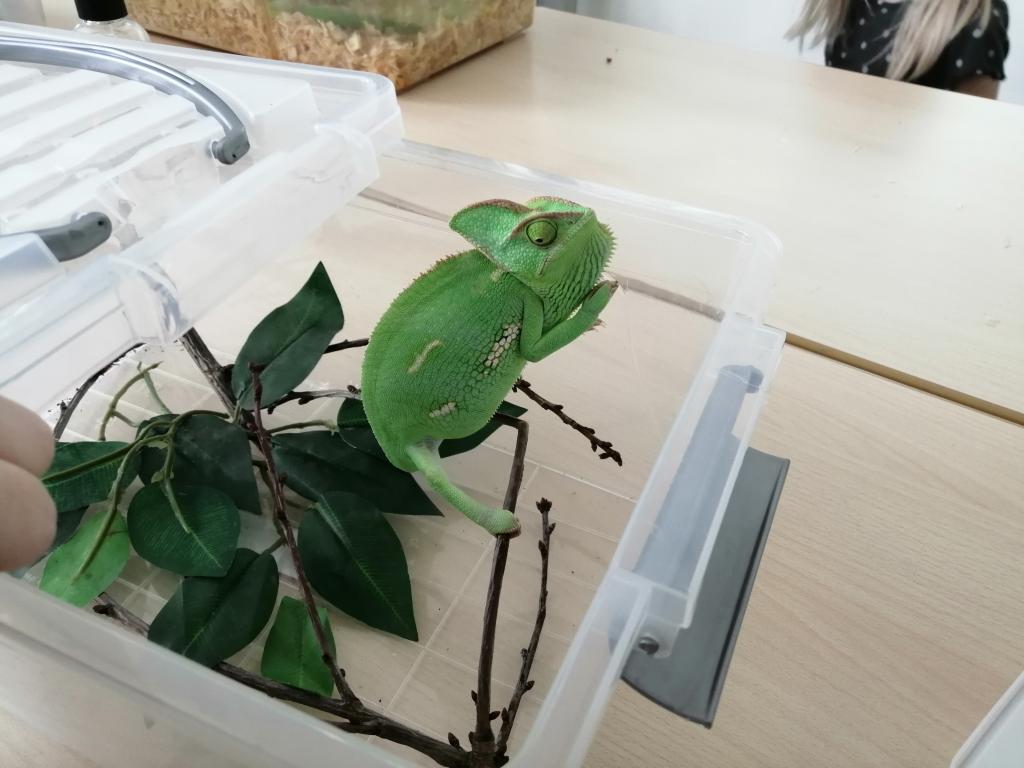 Projekt Máme rádi zvířata, 25. 3. 2024