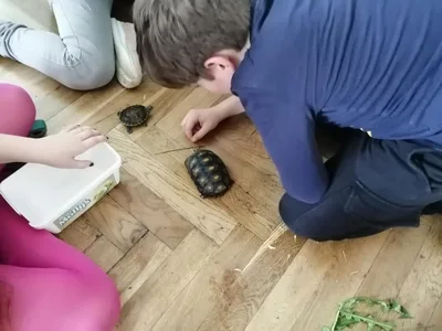 Projekt Máme rádi zvířata, 25. 3. 2024
