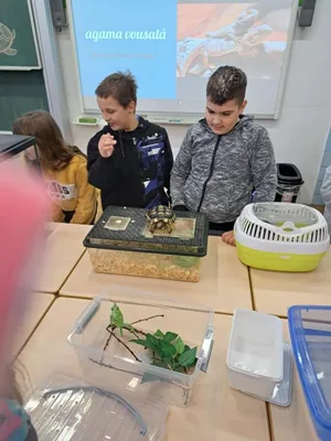 Projekt Máme rádi zvířata, 25. 3. 2024