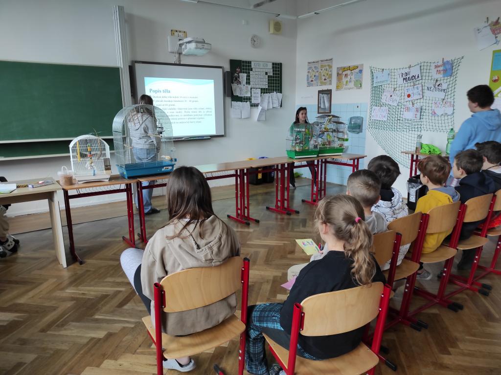 Projekt Máme rádi zvířata, 25. 3. 2024