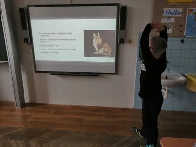 Projekt Máme rádi zvířata, 25. 3. 2024