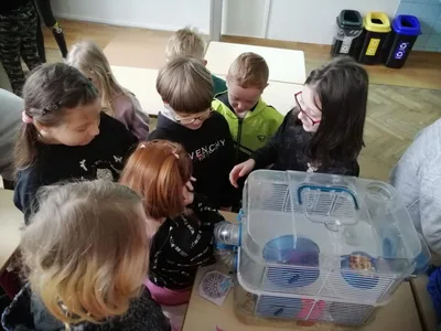 Projekt Máme rádi zvířata, 25. 3. 2024