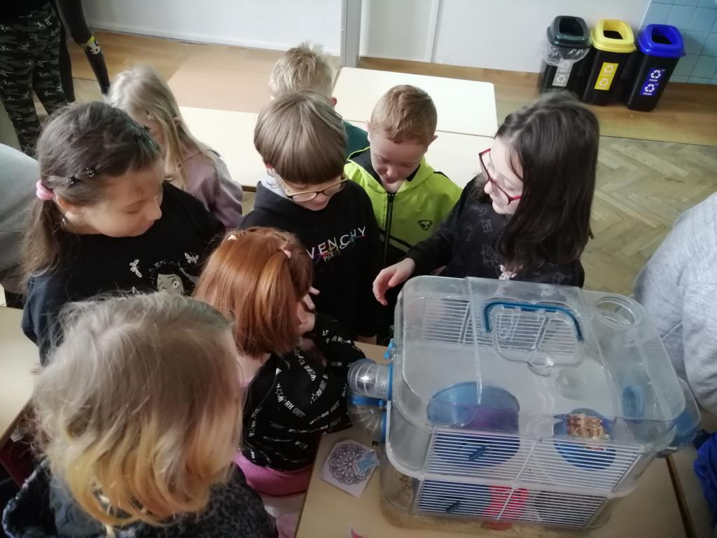 Projekt Máme rádi zvířata, 25. 3. 2024