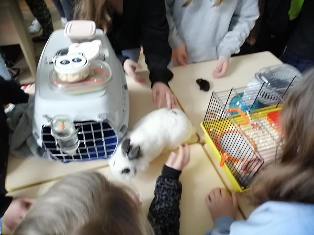 Projekt Máme rádi zvířata, 25. 3. 2024