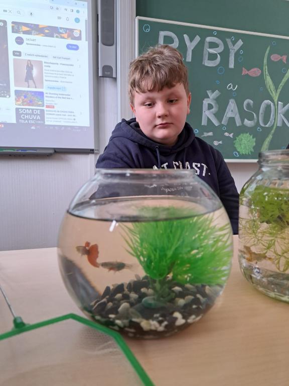 Projekt Máme rádi zvířata, 25. 3. 2024