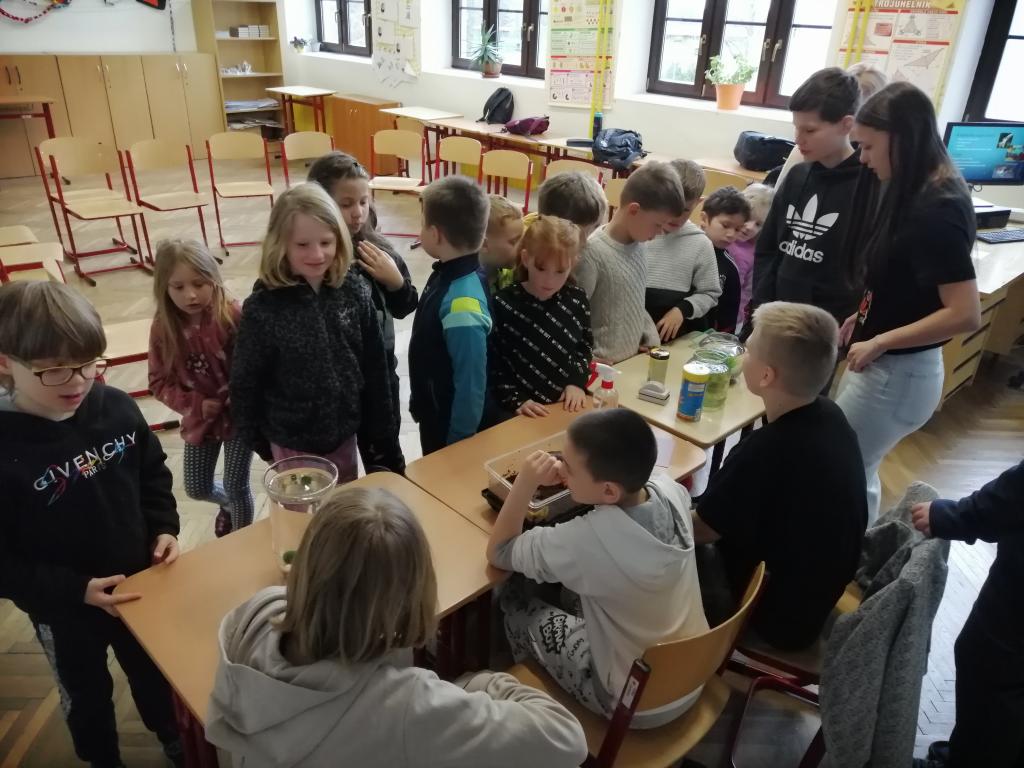 Projekt Máme rádi zvířata, 25. 3. 2024