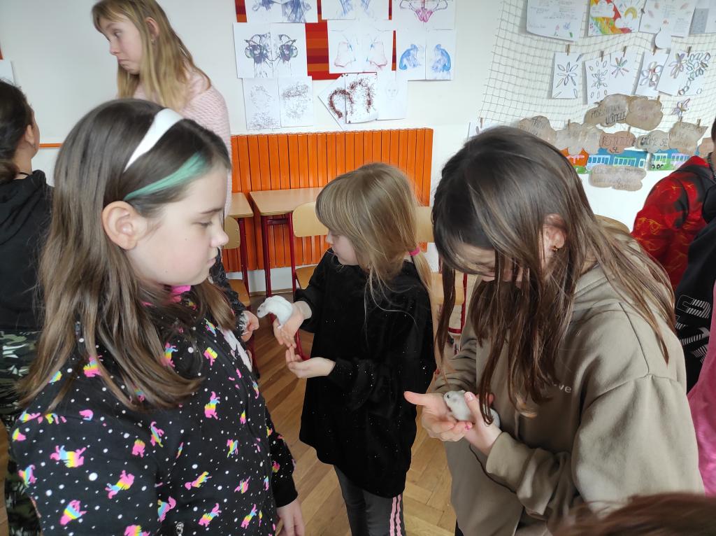 Projekt Máme rádi zvířata, 25. 3. 2024