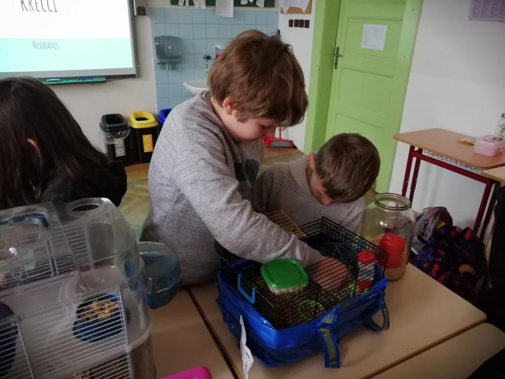 Projekt Máme rádi zvířata, 25. 3. 2024