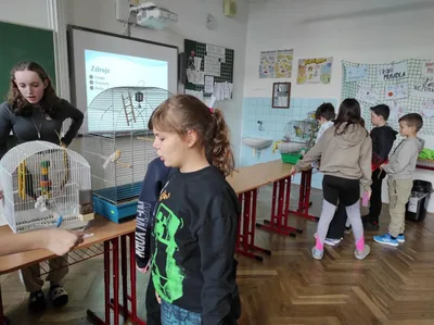 Projekt Máme rádi zvířata, 25. 3. 2024