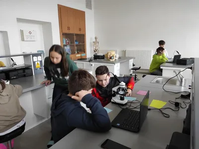 Projekt Máme rádi zvířata, 25. 3. 2024