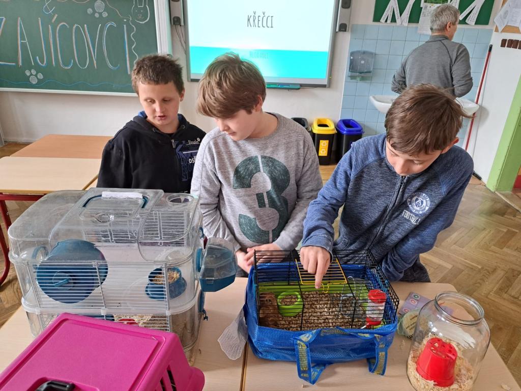 Projekt Máme rádi zvířata, 25. 3. 2024