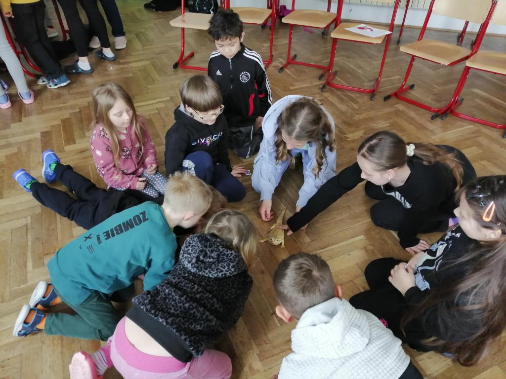 Projekt Máme rádi zvířata, 25. 3. 2024