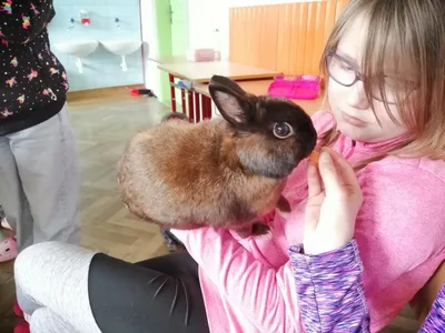 Projekt Máme rádi zvířata, 25. 3. 2024