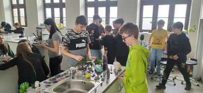 Projekt Máme rádi zvířata, 25. 3. 2024