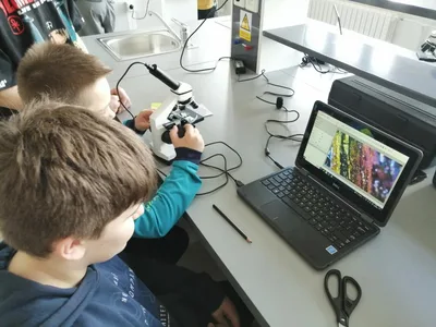 Projekt Máme rádi zvířata, 25. 3. 2024
