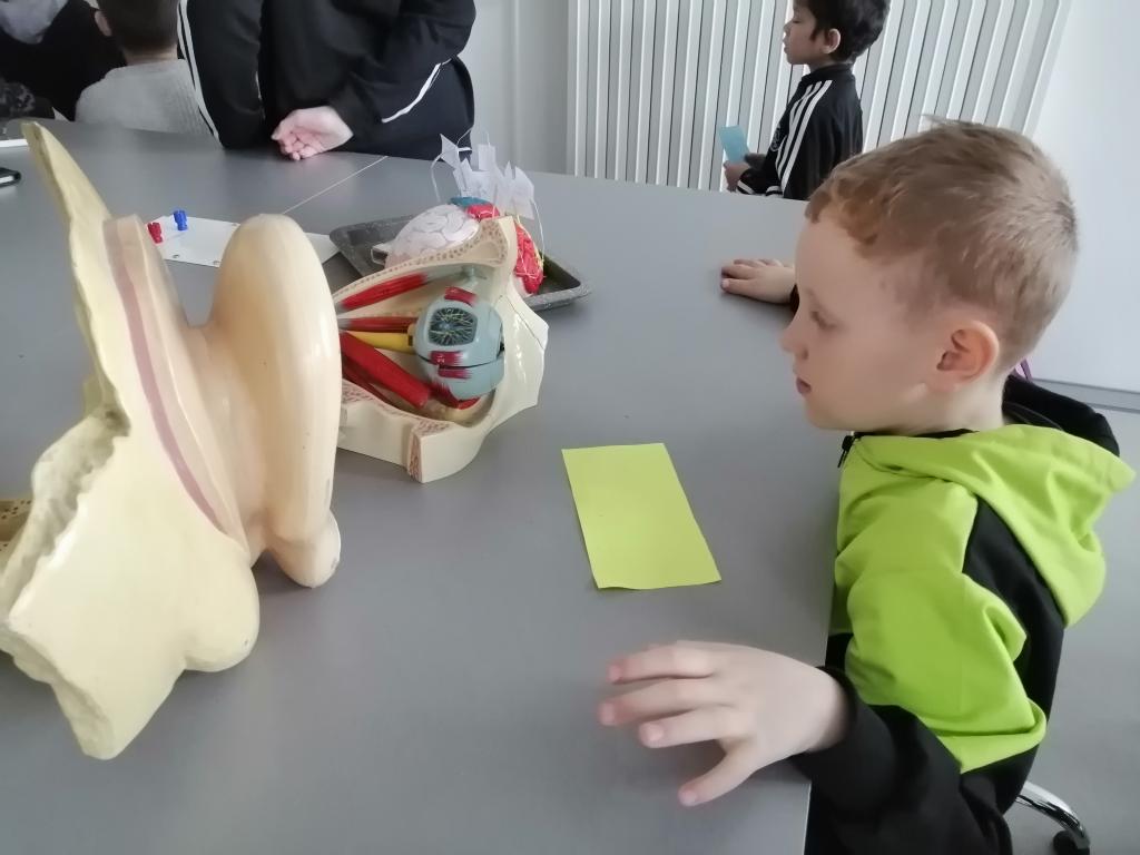 Projekt Máme rádi zvířata, 25. 3. 2024