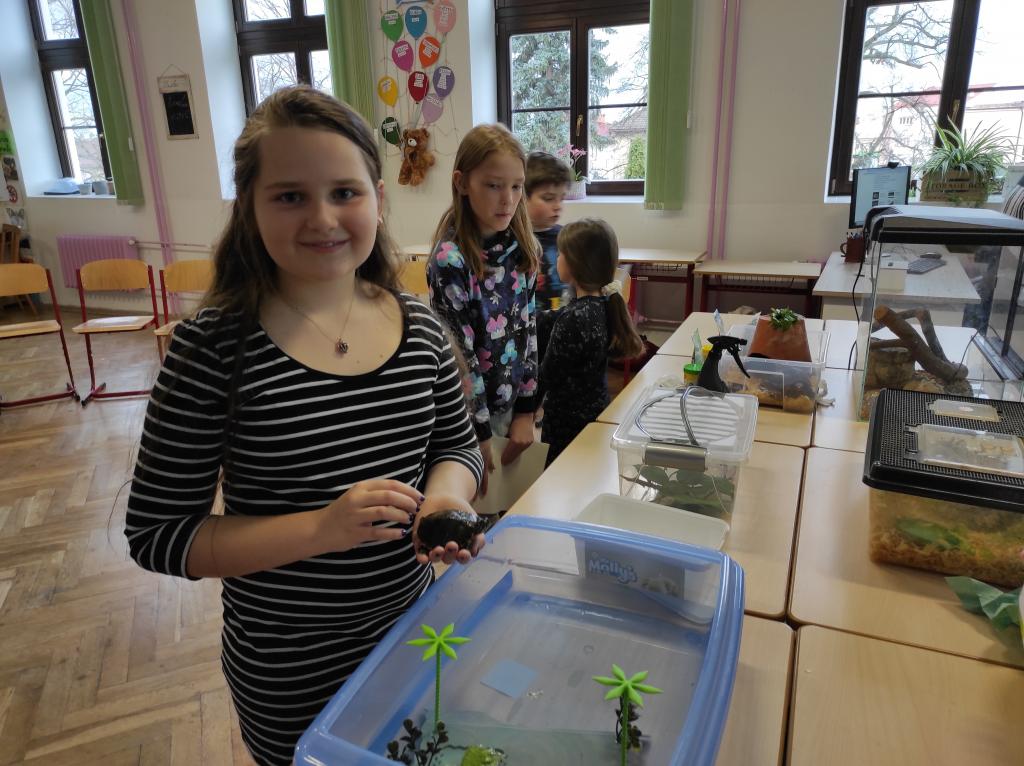 Projekt Máme rádi zvířata, 25. 3. 2024