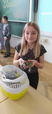 Projekt Máme rádi zvířata, 25. 3. 2024