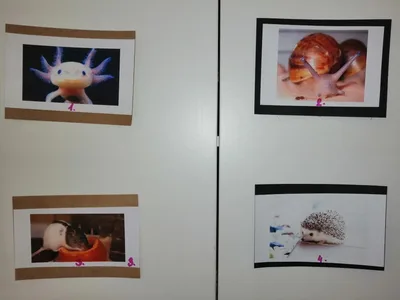 Projekt Máme rádi zvířata, 25. 3. 2024