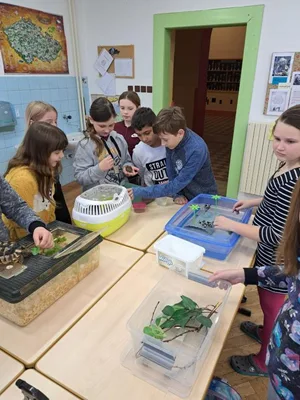 Projekt Máme rádi zvířata, 25. 3. 2024