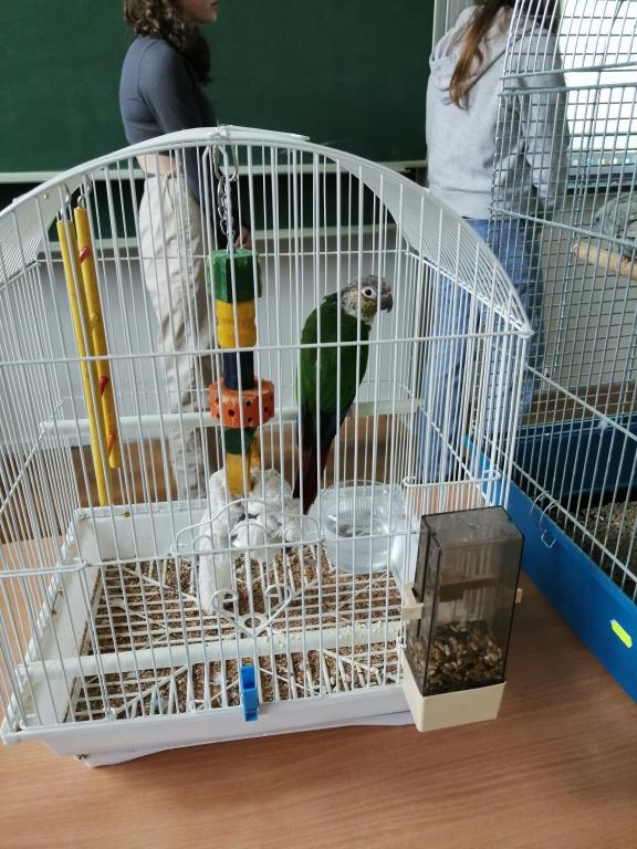 Projekt Máme rádi zvířata, 25. 3. 2024