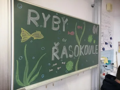 Projekt Máme rádi zvířata, 25. 3. 2024