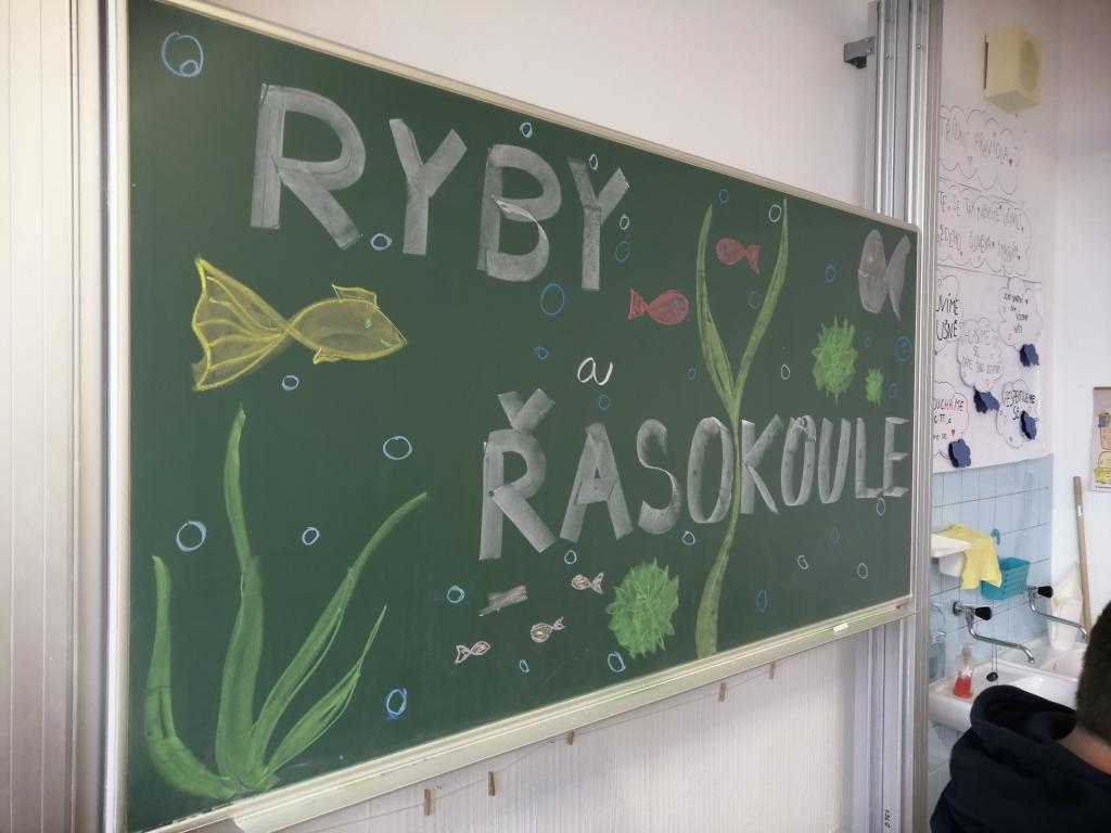 Projekt Máme rádi zvířata, 25. 3. 2024