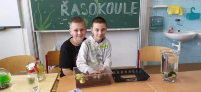 Projekt Máme rádi zvířata, 25. 3. 2024